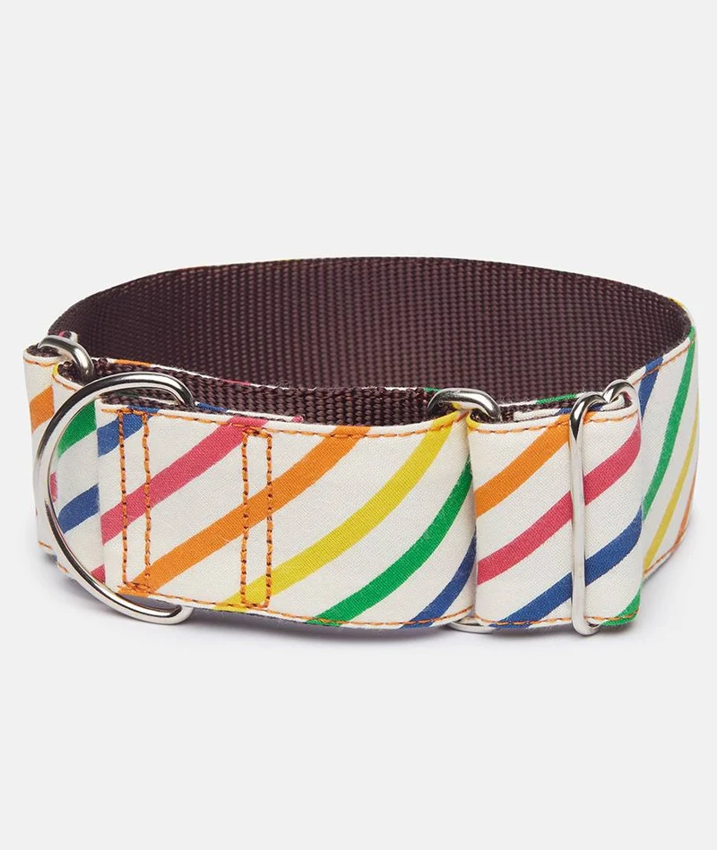 Collar perro Maldivas