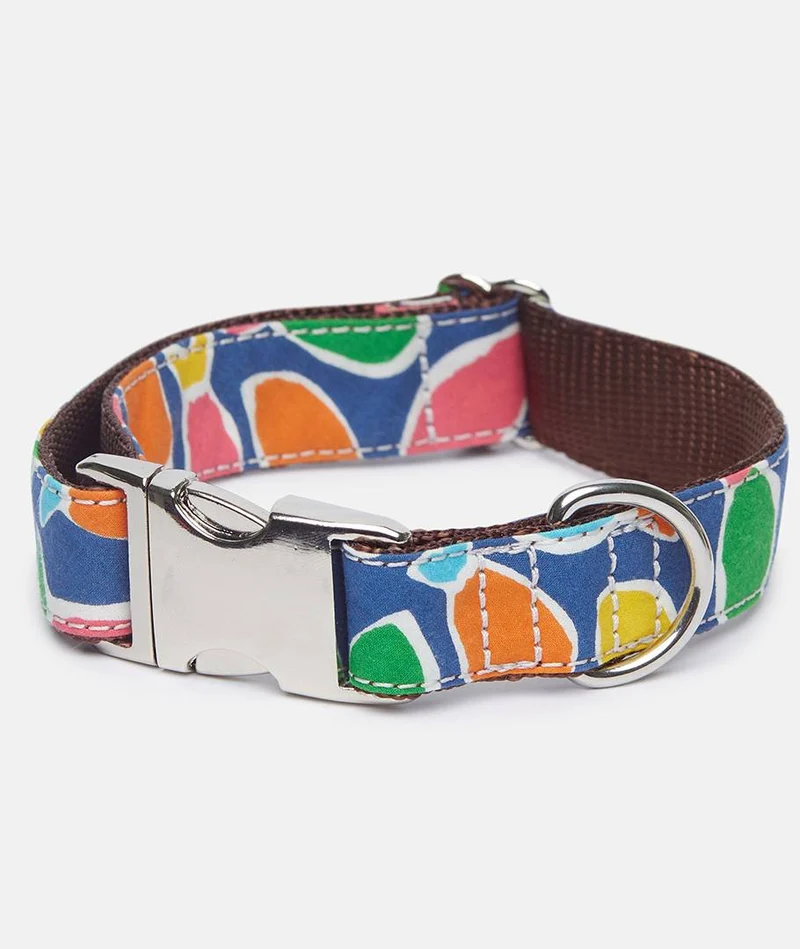 Collar perro Hake
