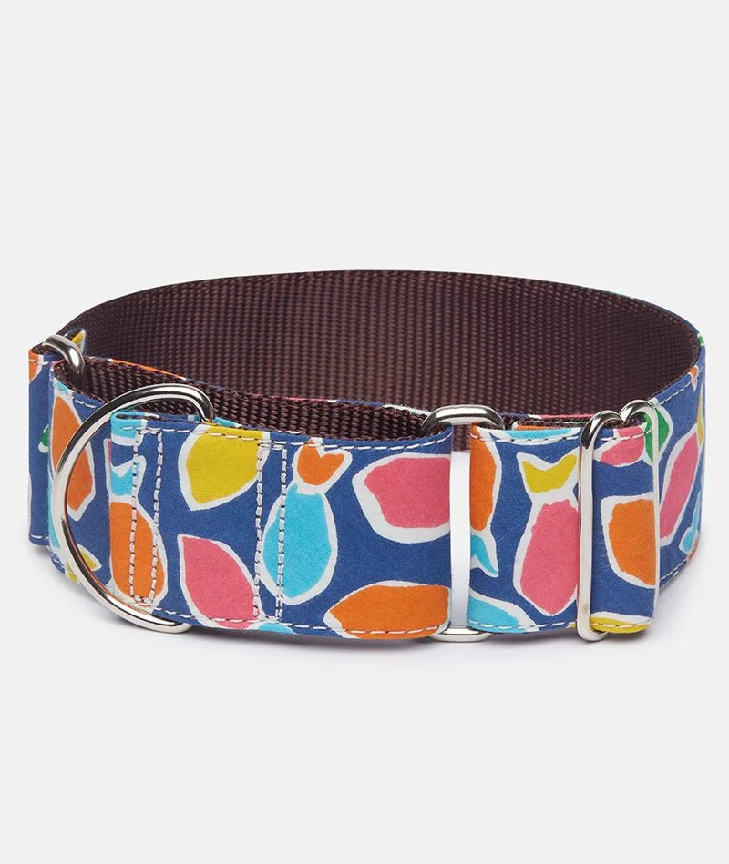 Collar perro Hake