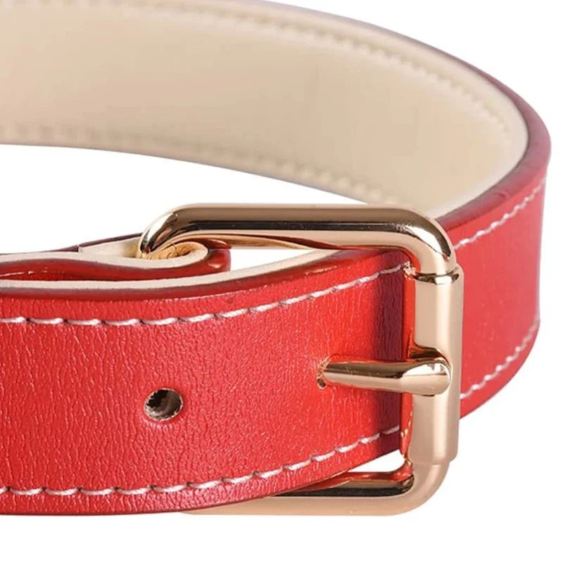 Collier chien rouge en cuir