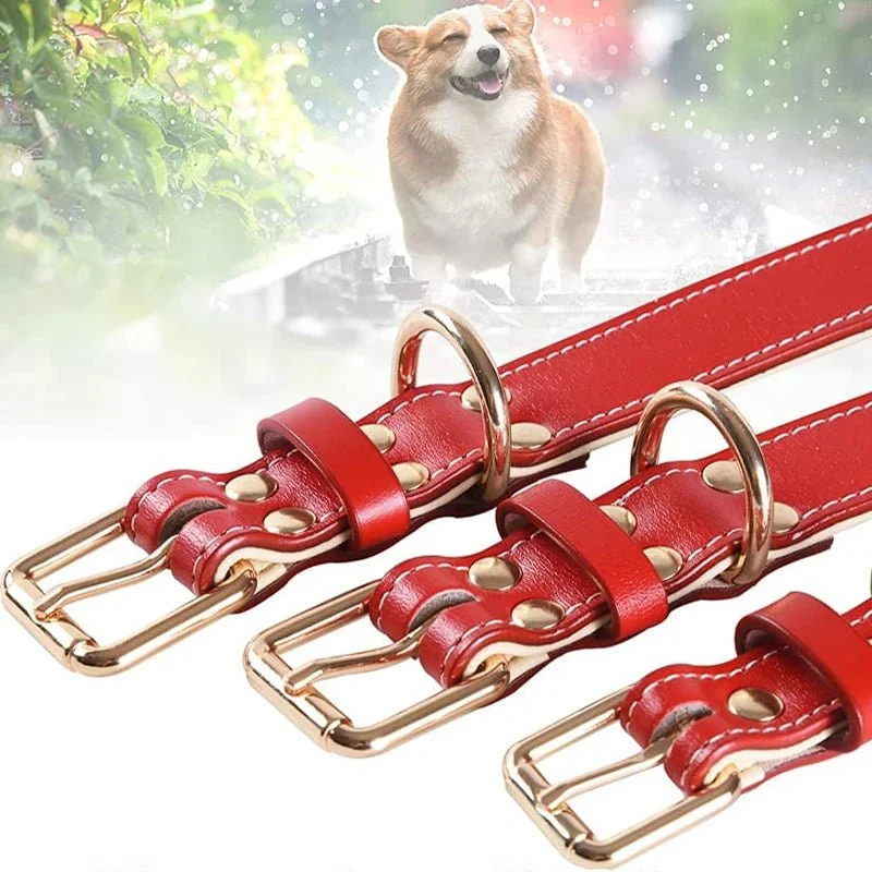 Collier chien rouge en cuir