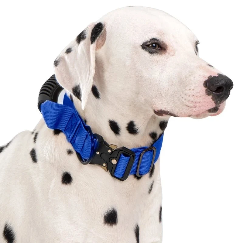 Collier gros chien avec poignée