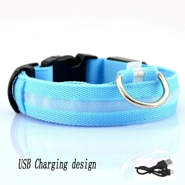 Lumière collier chien