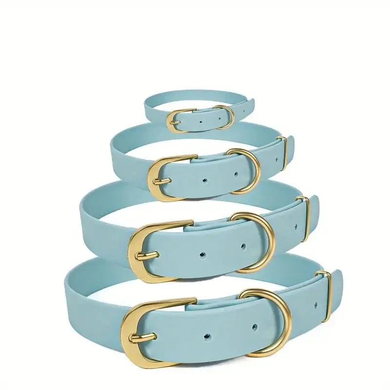 Collier plat chien