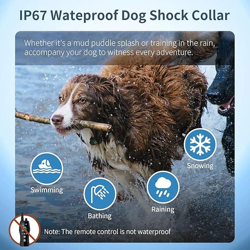 Collier anti aboiement pour petit chien de 2 kg