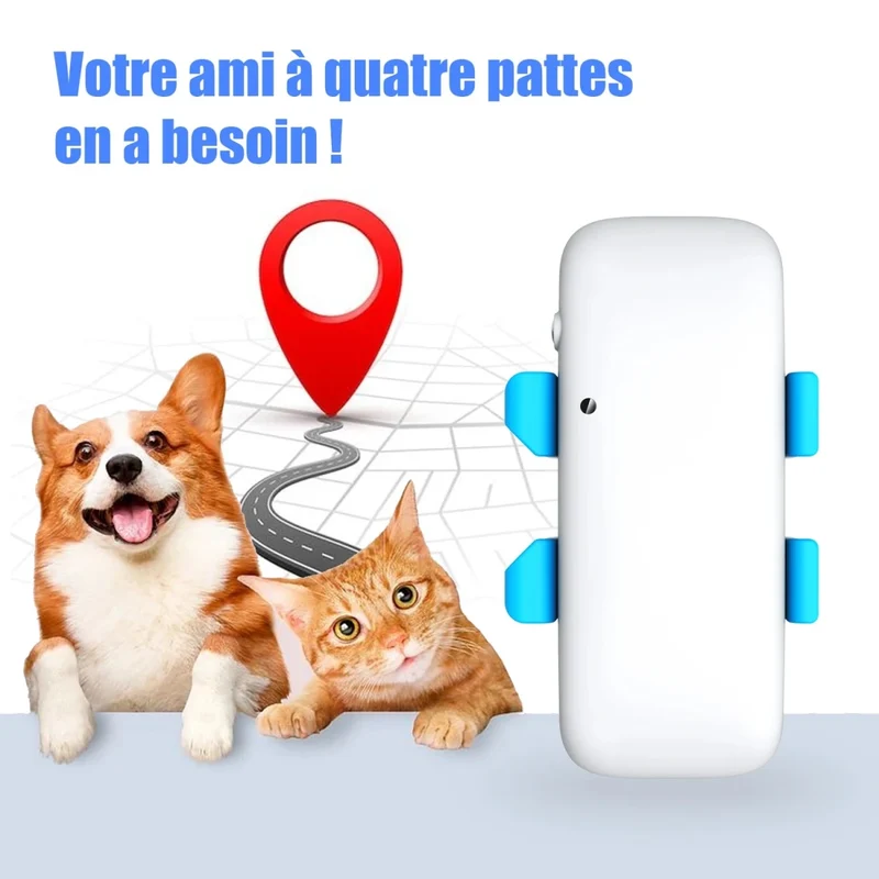 Colliers reperage pour chiens