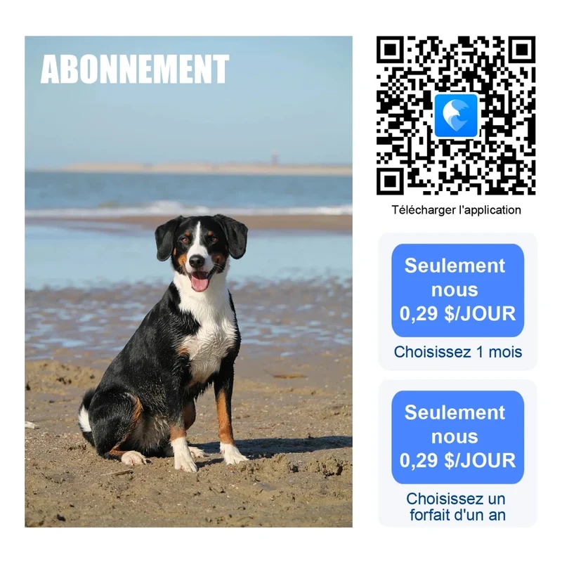 Colliers reperage pour chiens