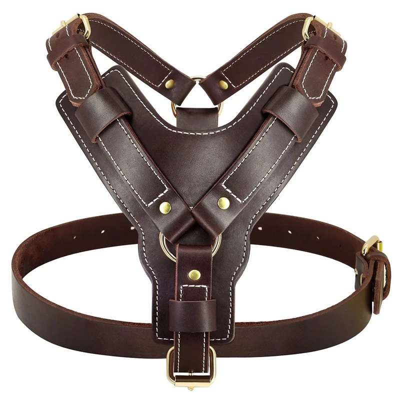 Harnais luxe pour chien