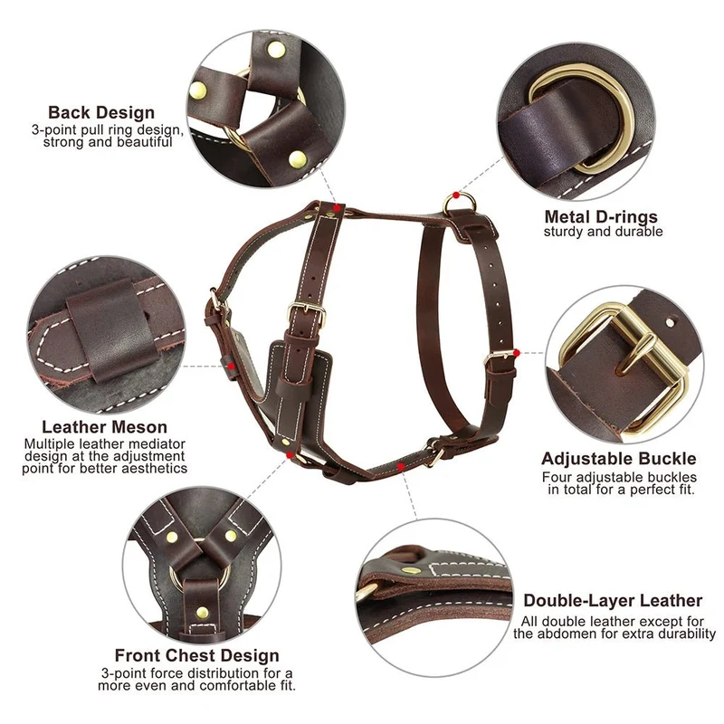 Harnais luxe pour chien