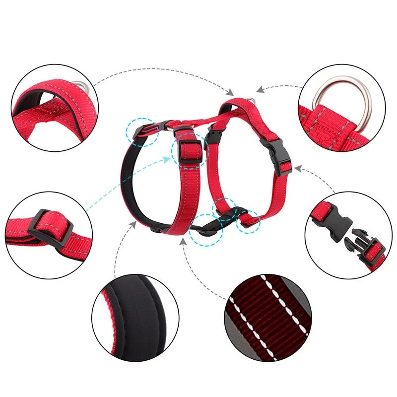 Harnais chien anti traction en y
