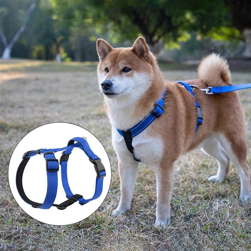 Harnais chien anti traction en y