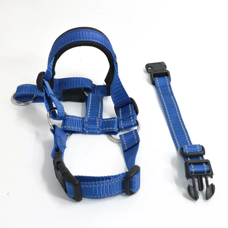 Collier licol pour chien