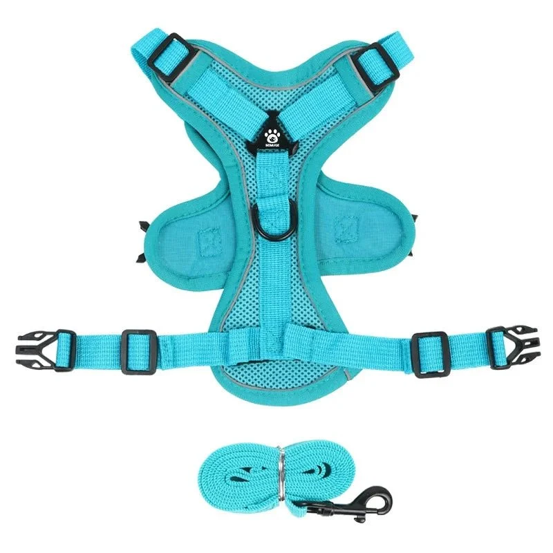 Harnais anti traction petit chien