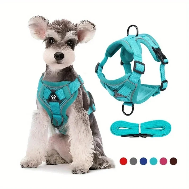Harnais anti traction petit chien