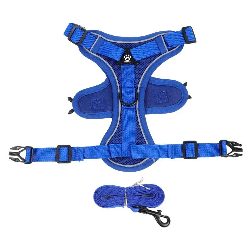 Harnais anti traction petit chien