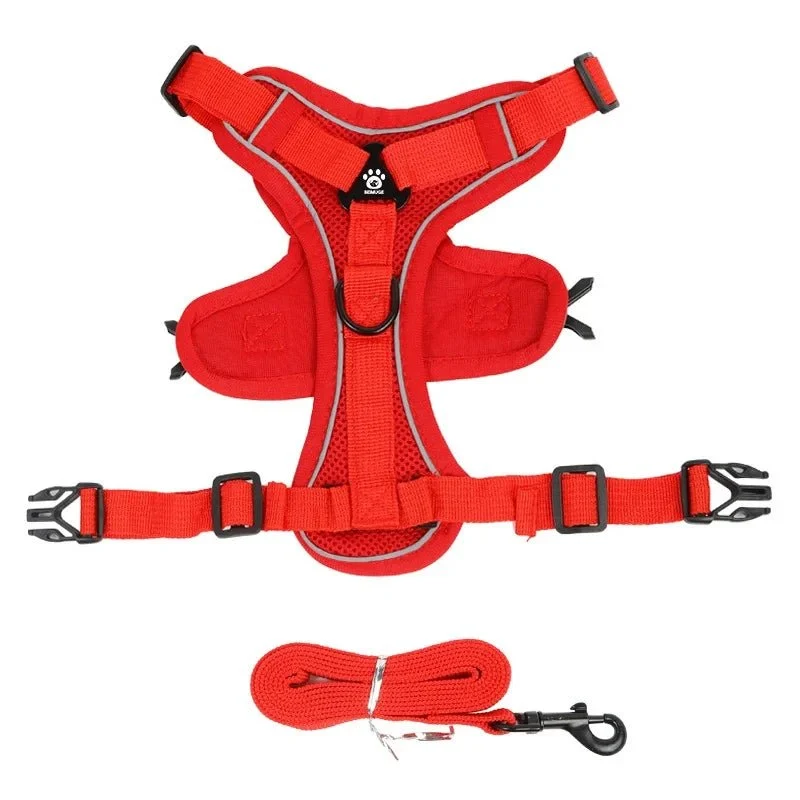 Harnais anti traction petit chien