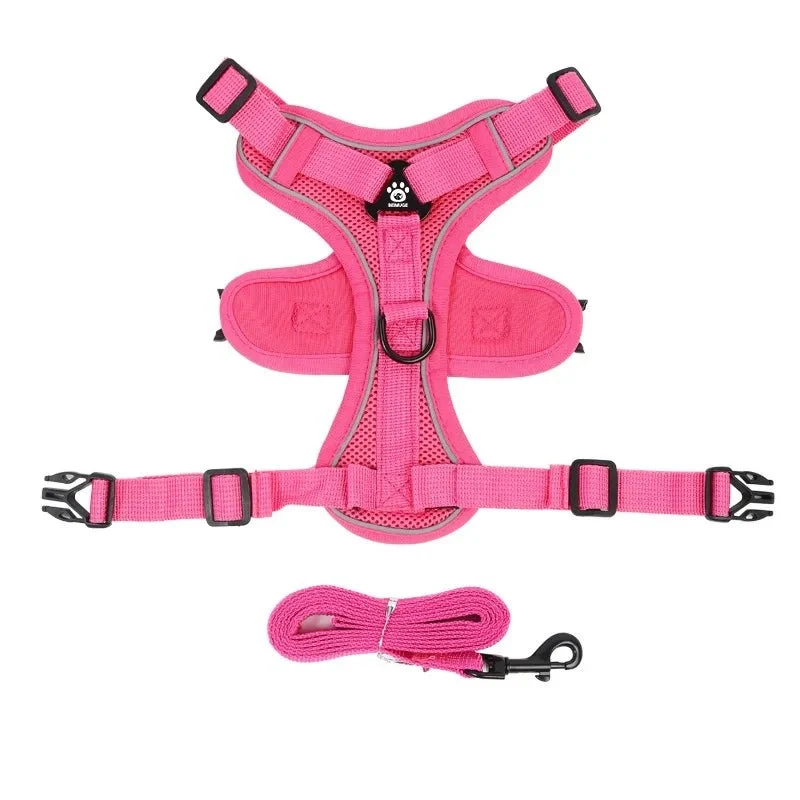 Harnais anti traction petit chien