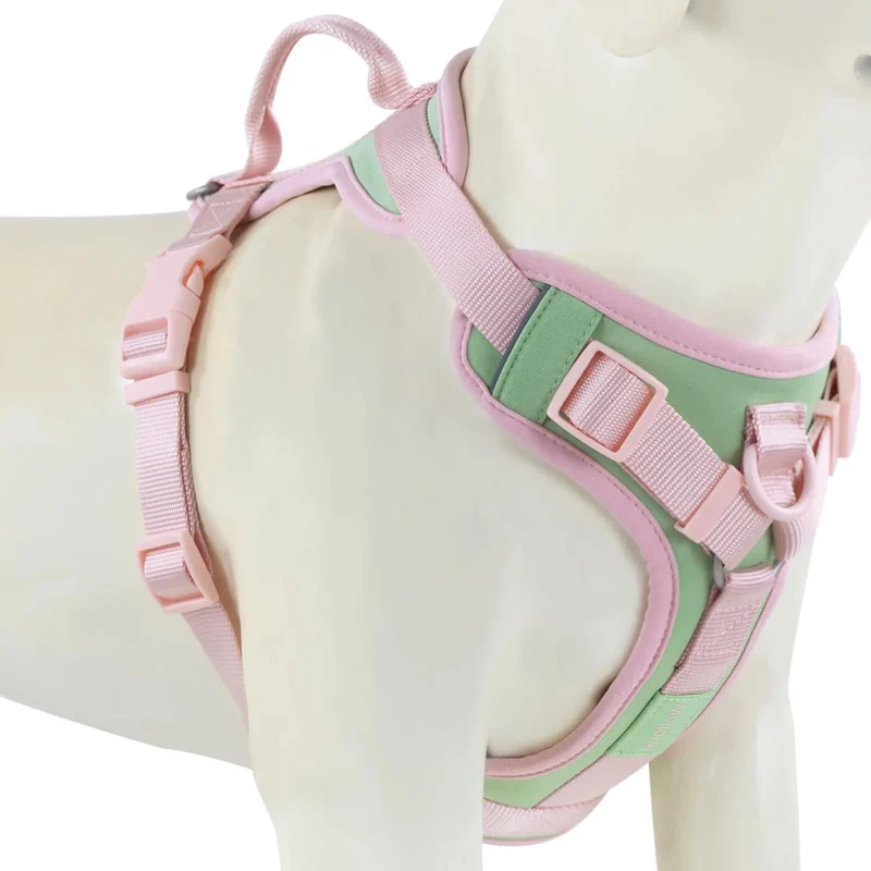 Harnais anti traction chien qui tire