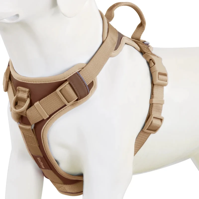 Harnais anti traction chien qui tire
