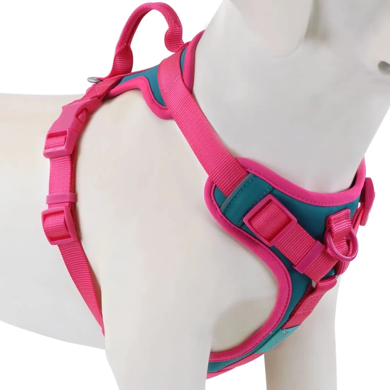 Harnais anti traction chien qui tire