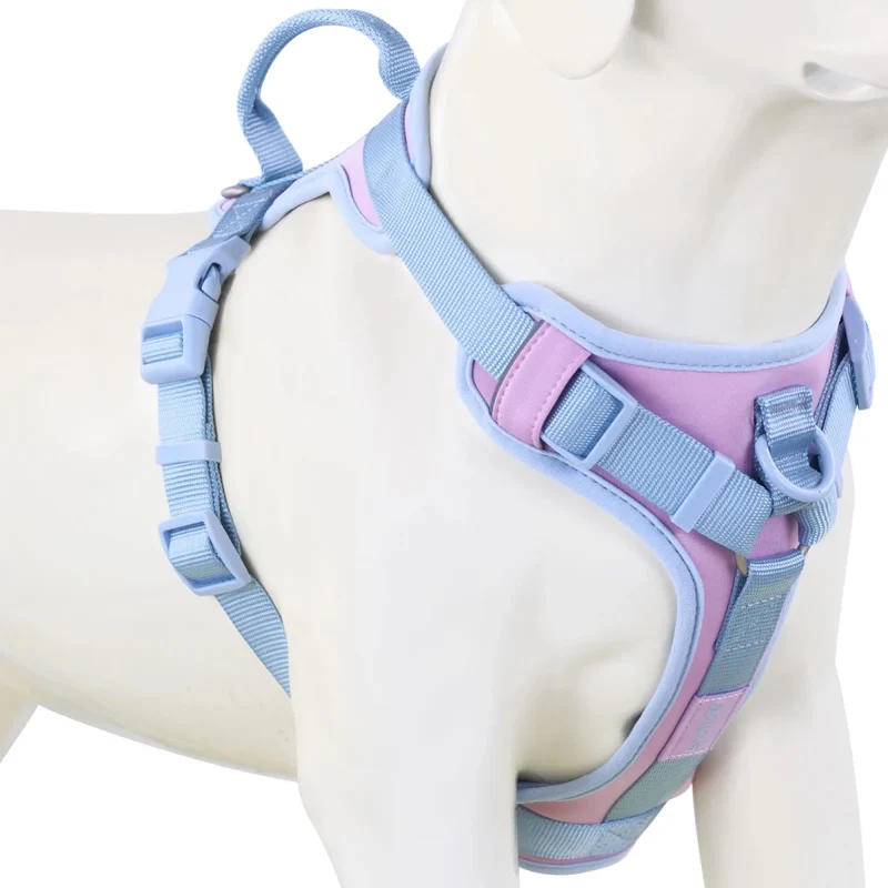Harnais anti traction chien qui tire