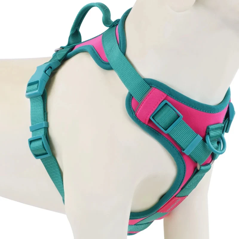Harnais anti traction chien qui tire