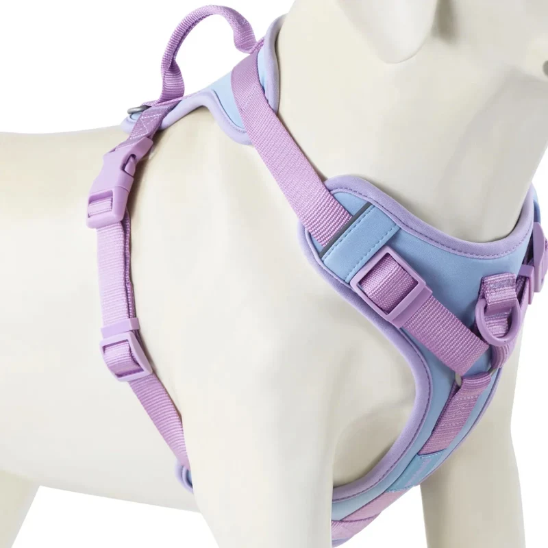 Harnais anti traction chien qui tire