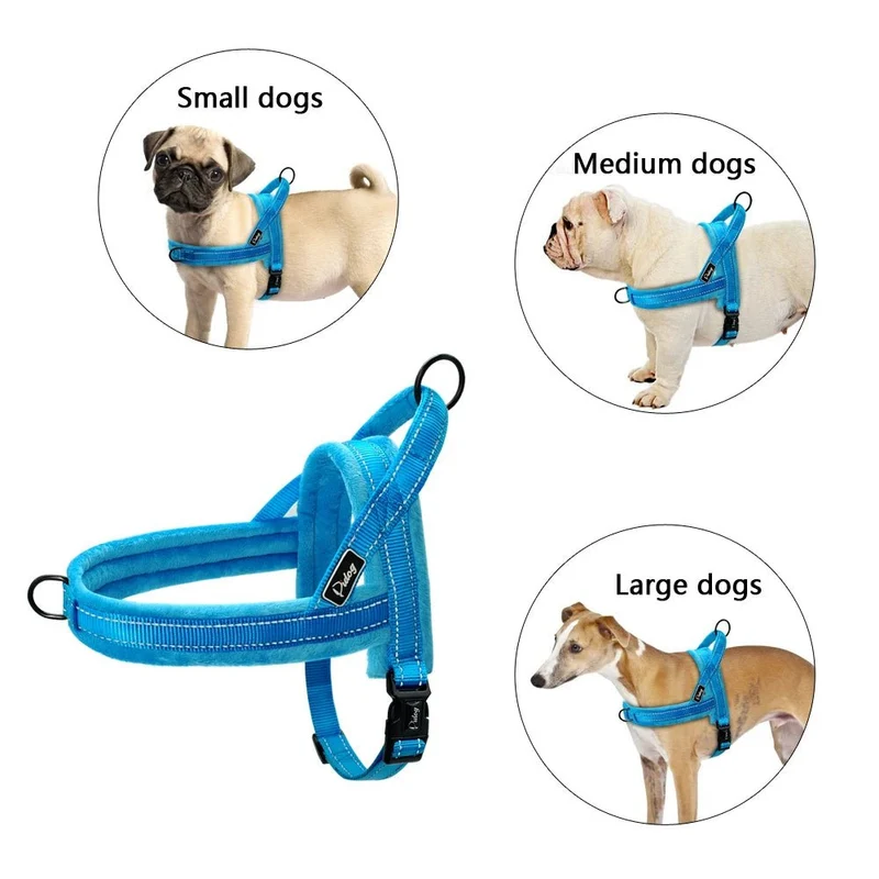 Harnais anti traction chien education
