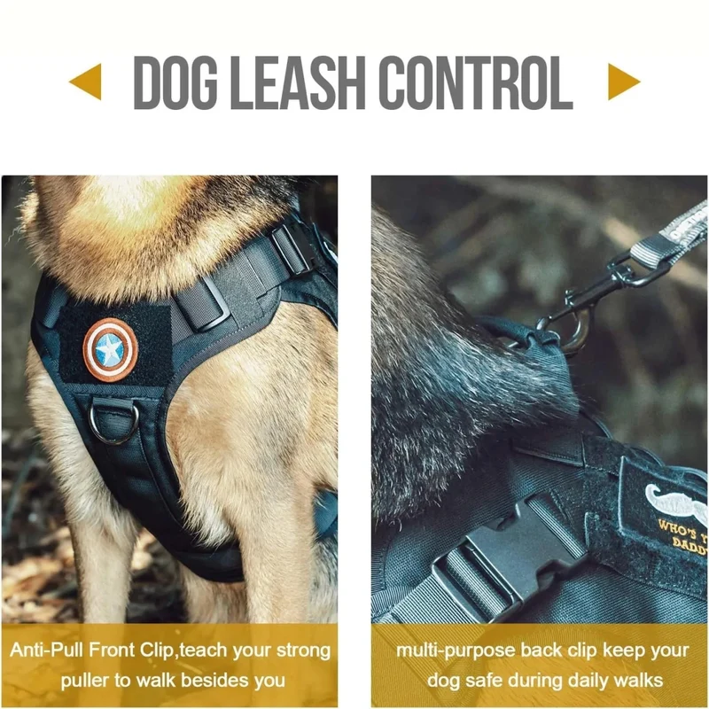 Meilleur harnais chien anti traction