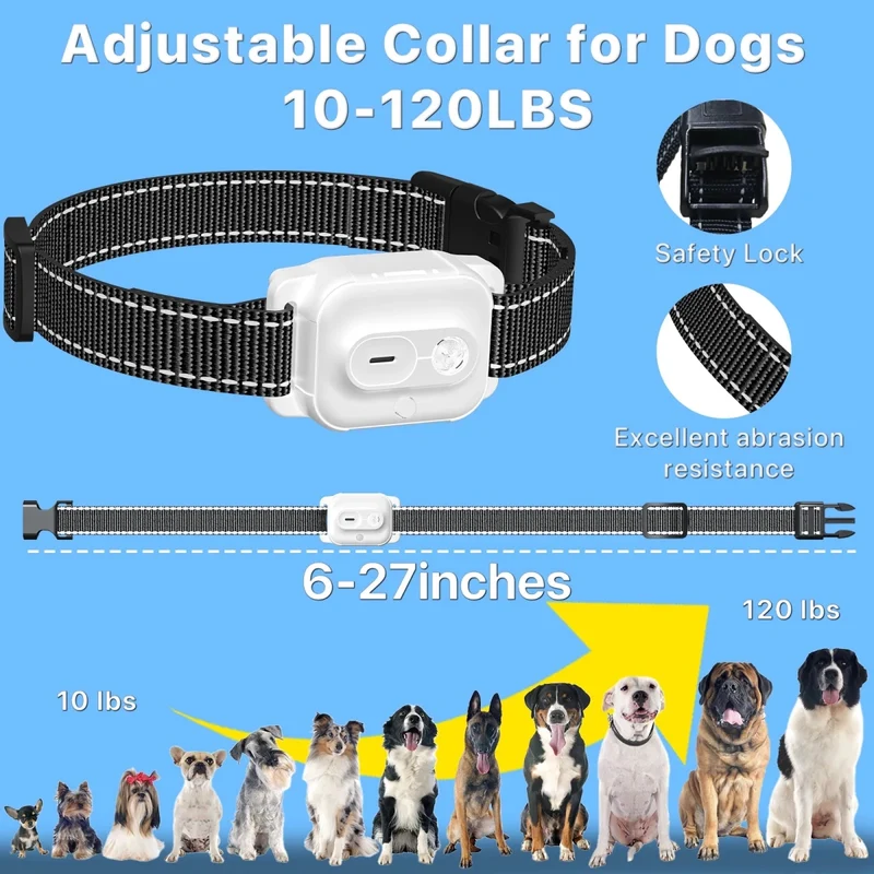 Collier citronnelle pour chien