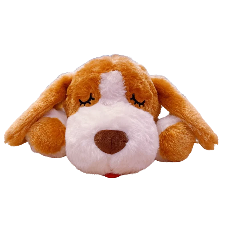 Jouet pour chiot 3 mois
