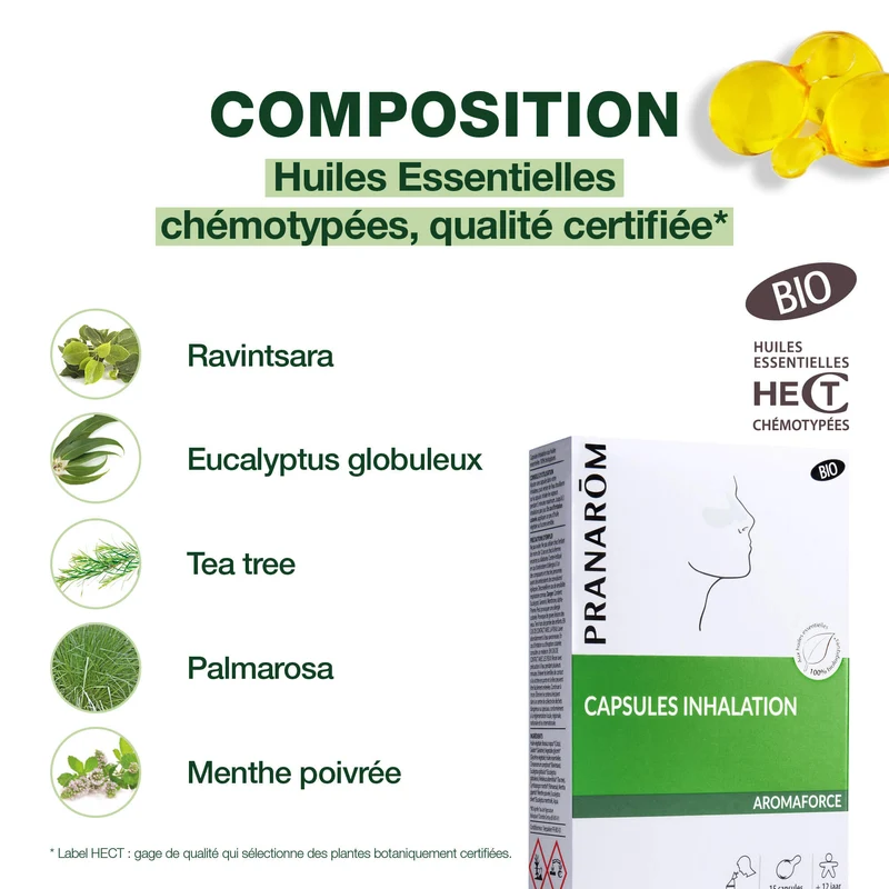 Capsules inhalation pour dégager le nez - Bio