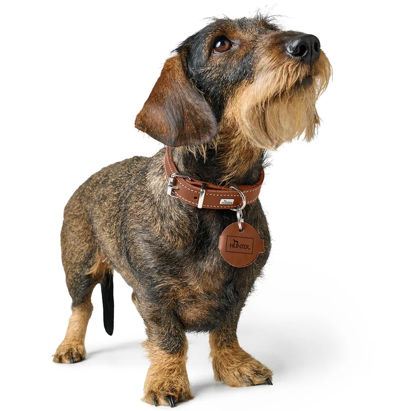 Anhänger Hundemarken-Etui Aalborg