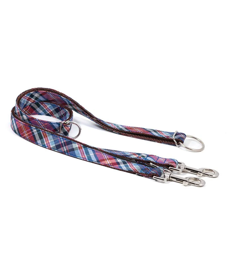 Collar para Galgo Gosol