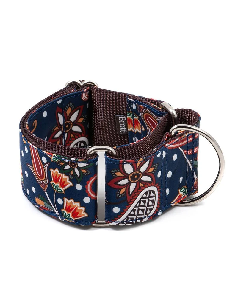 Collar para perro Albi