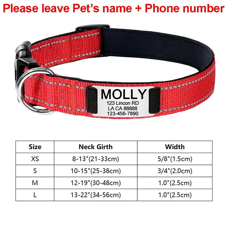 Collier identification chiot