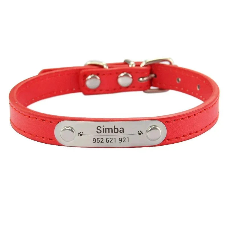 Collier chiot 3 mois