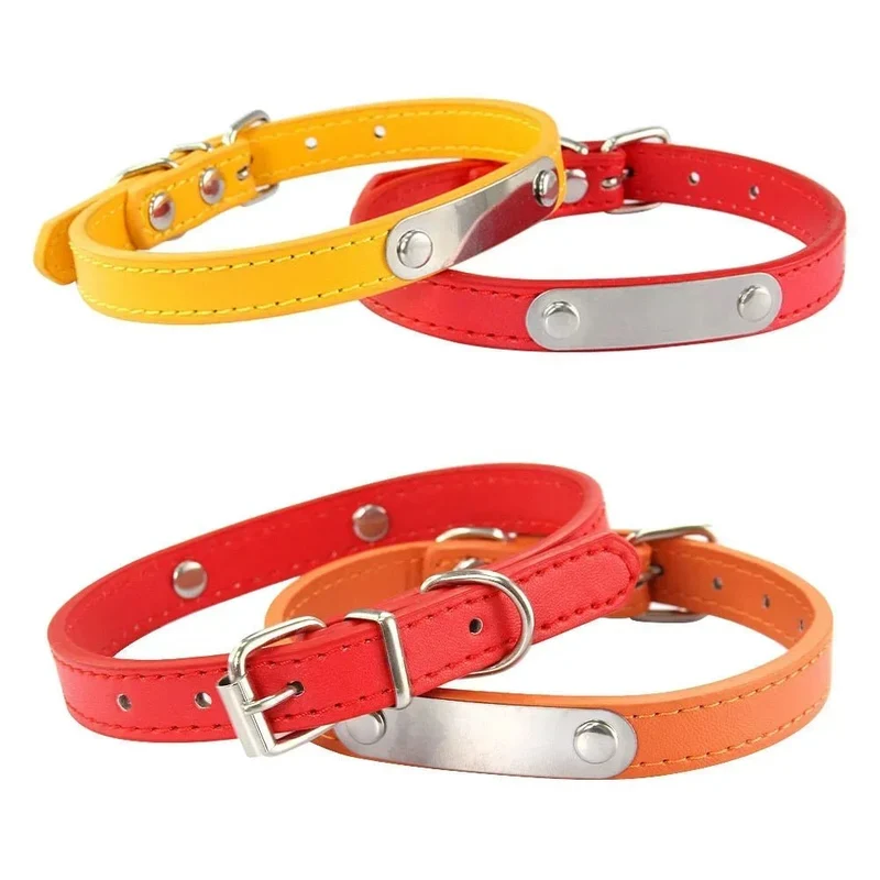 Collier chiot 3 mois