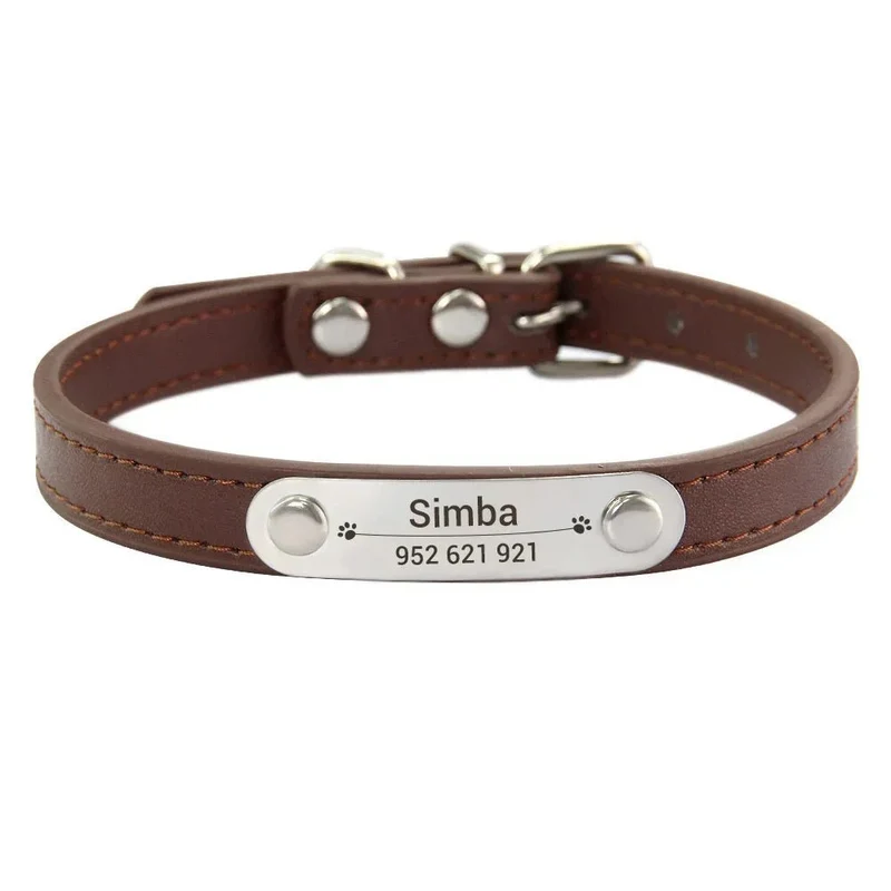 Collier chiot 3 mois