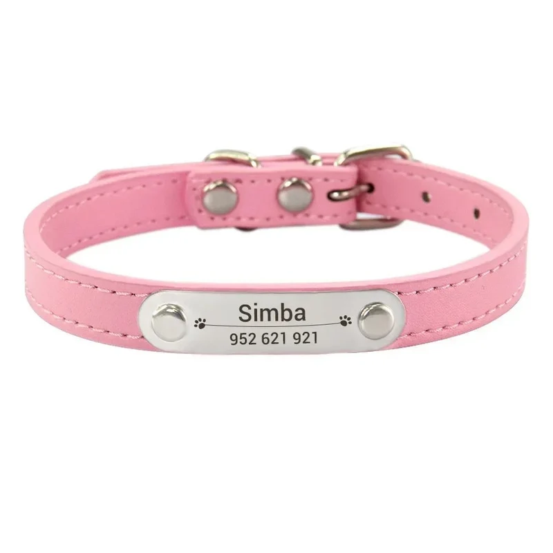 Collier chiot 3 mois