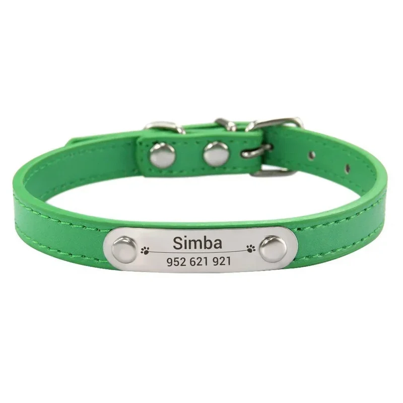 Collier chiot 3 mois