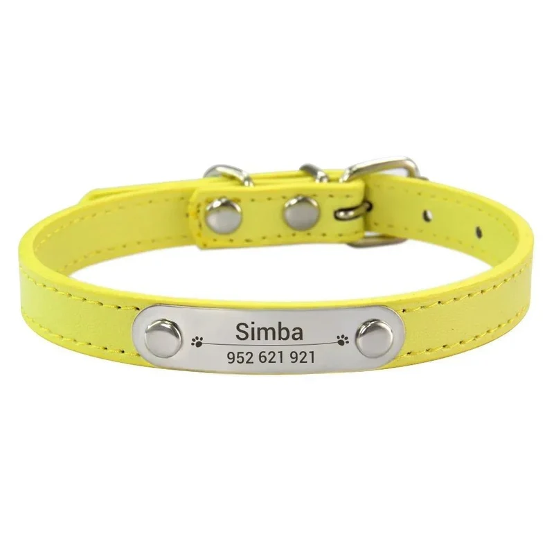 Collier chiot 3 mois