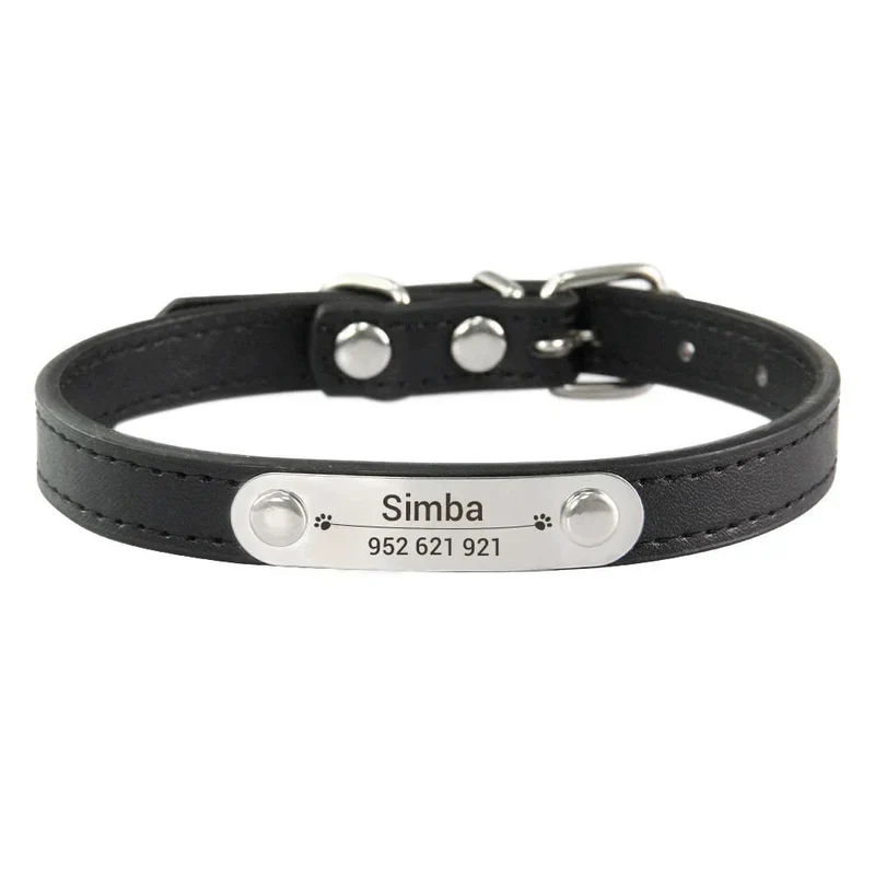 Collier chiot 3 mois