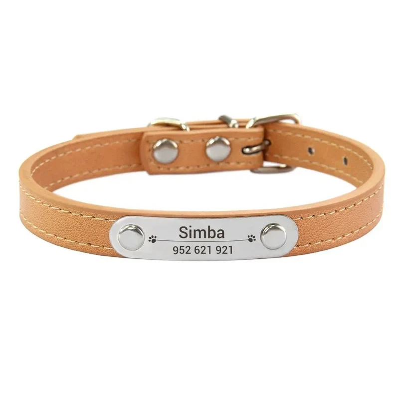 Collier chiot 3 mois