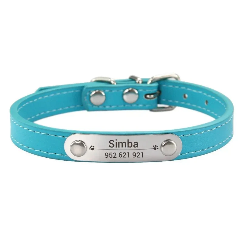 Collier chiot 3 mois
