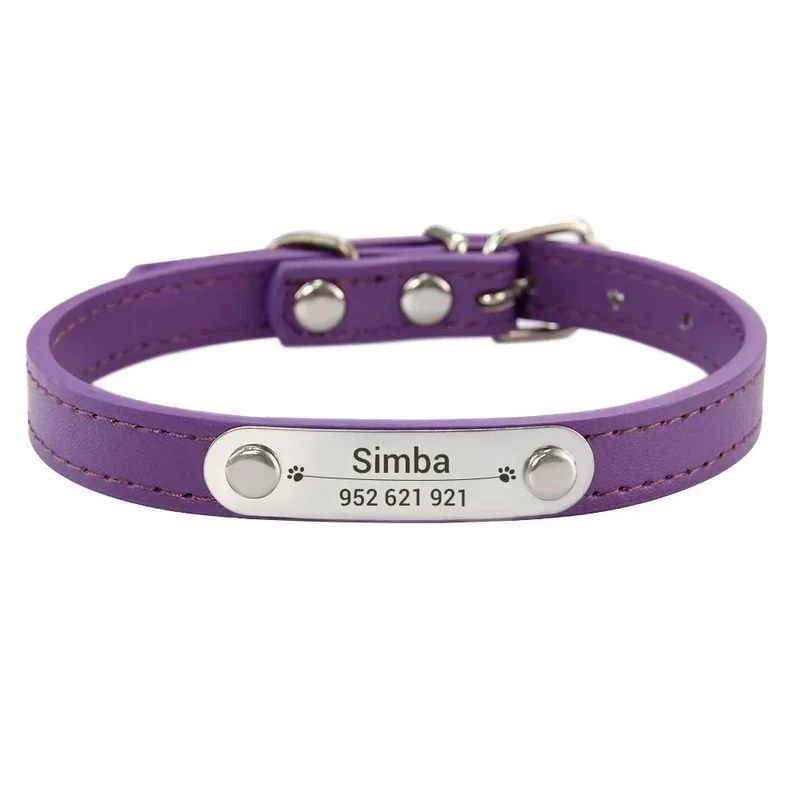 Collier chiot 3 mois