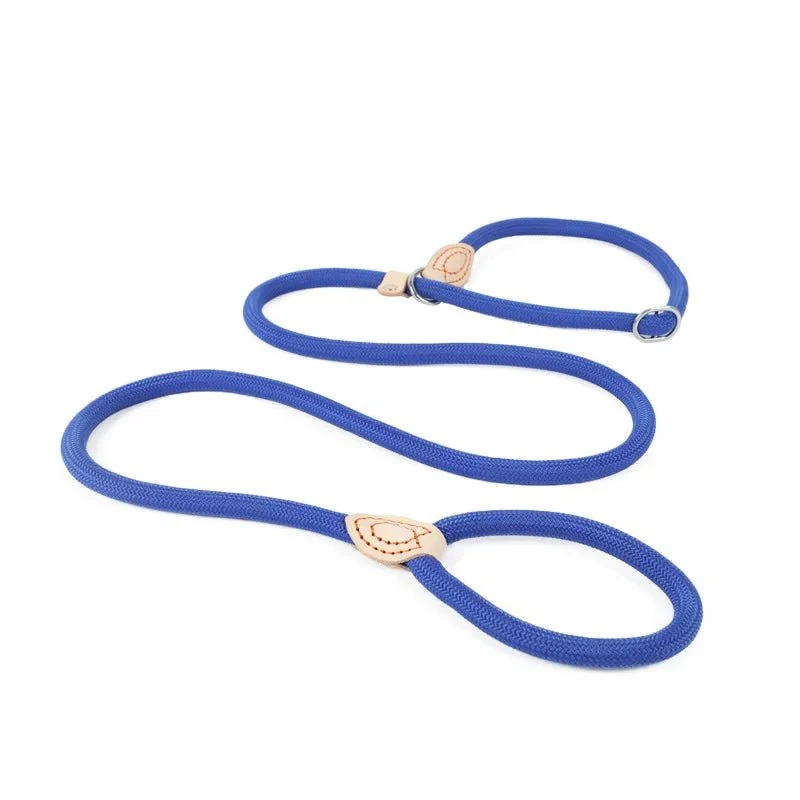 Laisse lasso avec frein