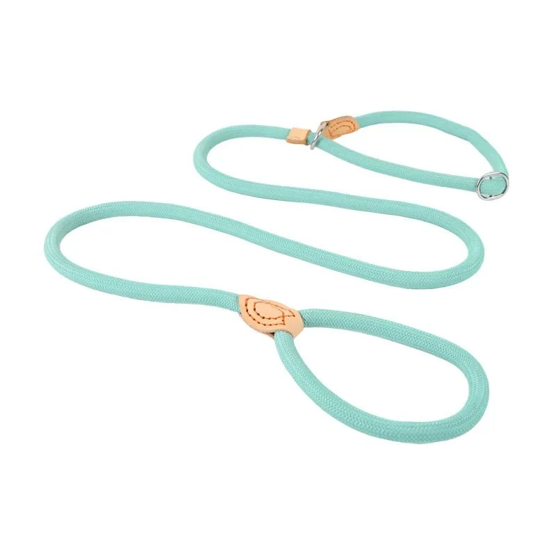 Laisse lasso avec frein