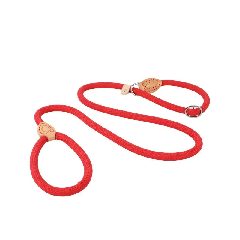 Laisse lasso avec frein