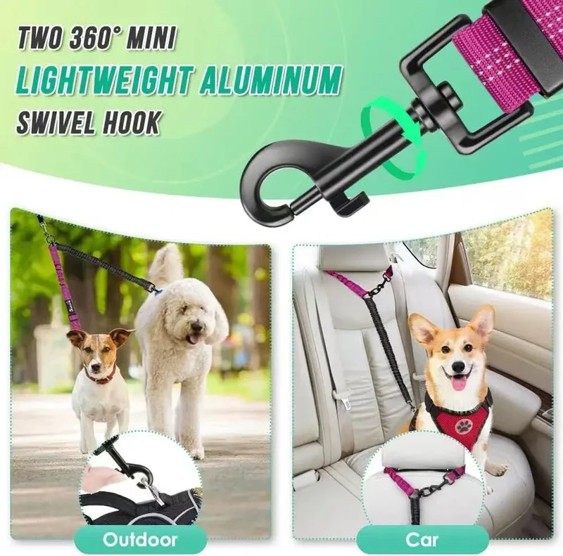 Laisse double pour chien qui tire